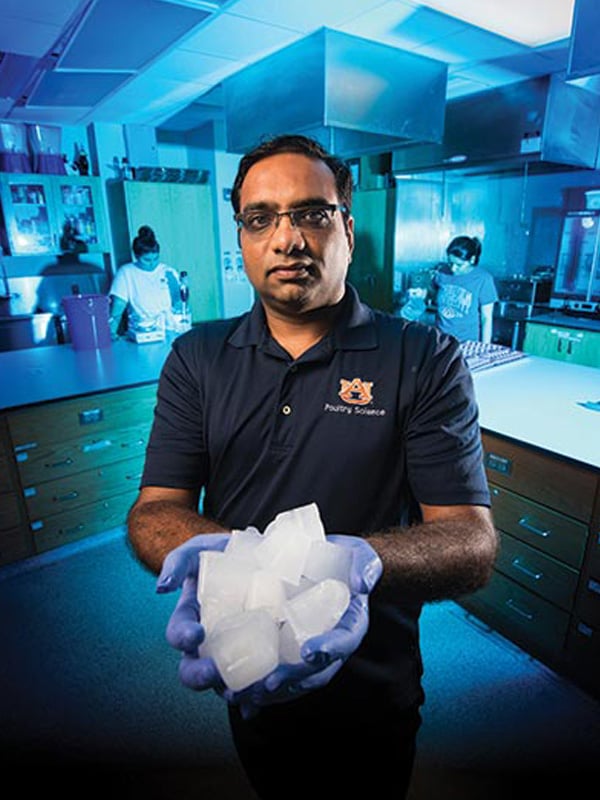 Amit-Morey-Auburn-university-poultry-science